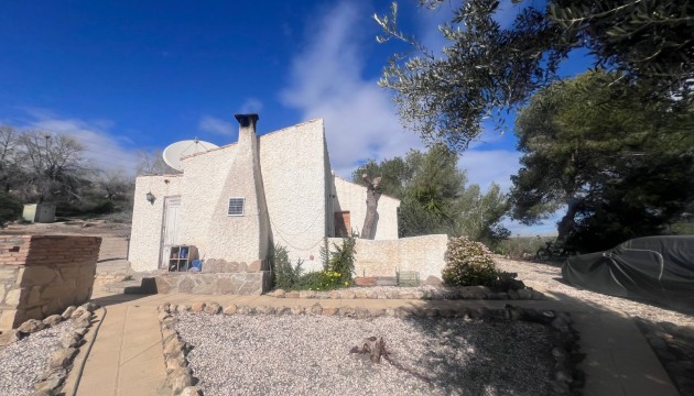 Reventa - Finca - Torremendo