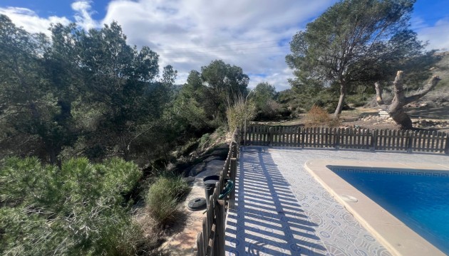 Reventa - Finca - Torremendo