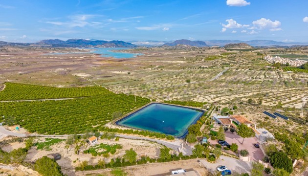 Begagnad - Landsbyggdshus - Torremendo