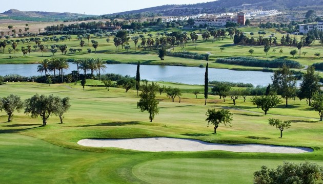 Resale - Plot / Land - Algorfa