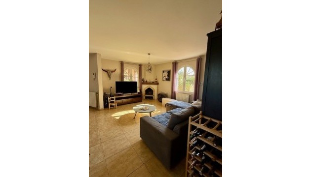 Wiederverkauf - Detached Villa - Orihuela Costa