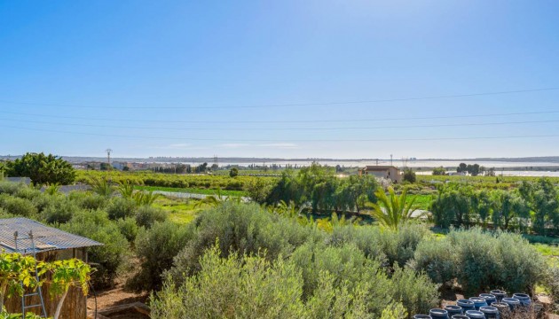 Resale - Country House - Los Montesinos