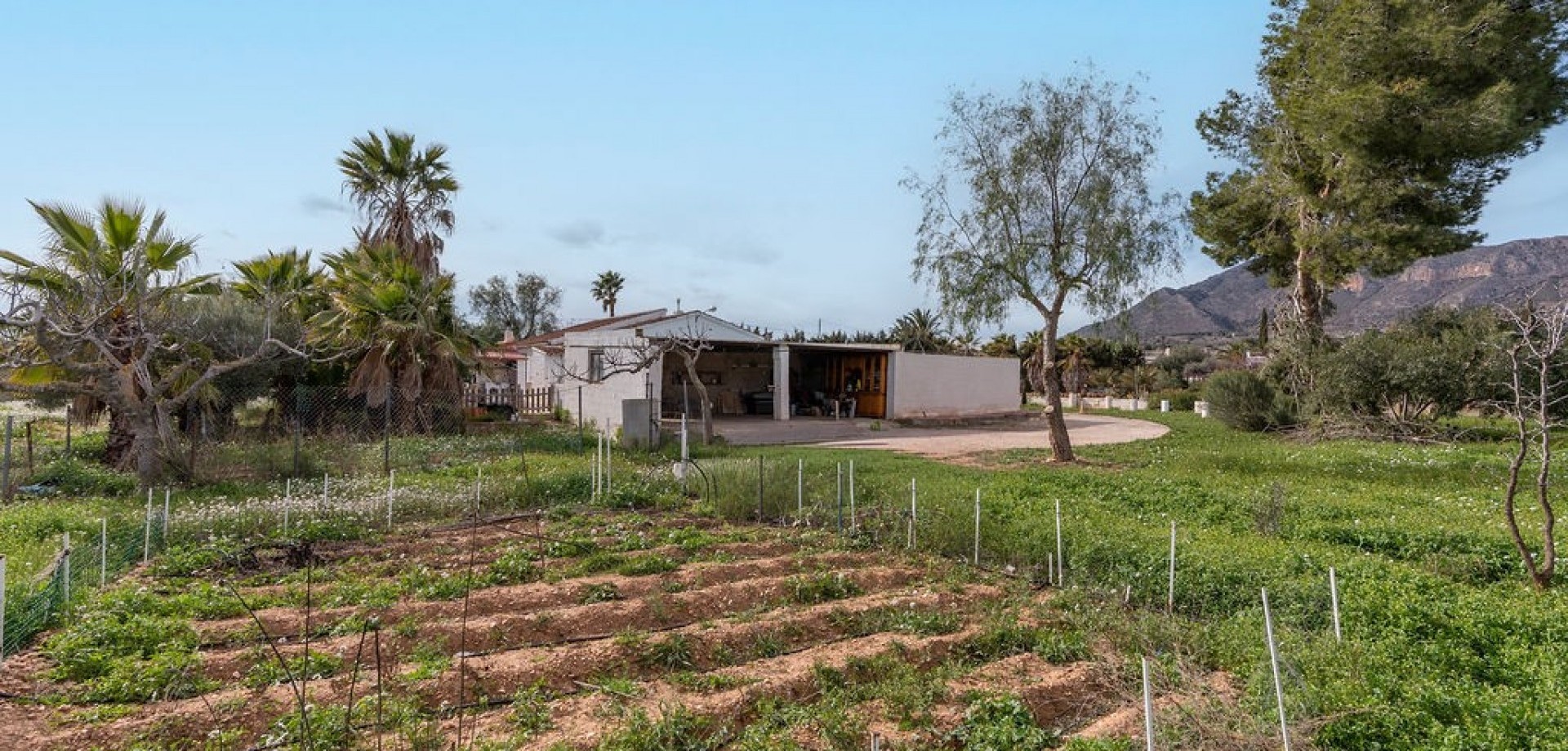 House in Hondon de las Nieves - Image 4