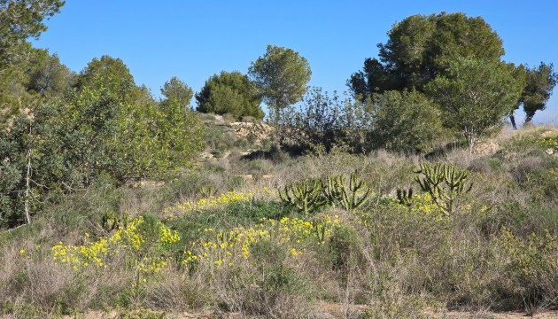 Resale - Apartment - Orihuela Costa - Villamartin