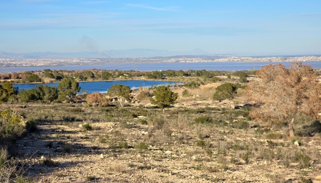 Resale - Apartment - Orihuela Costa - Villamartin