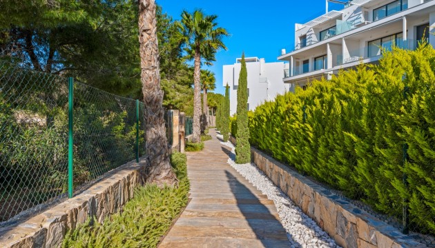 Resale - Apartment - Las Colinas Golf - Las Colinas Golf Resort