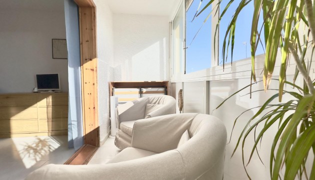 Begagnad - Studio - Torrevieja