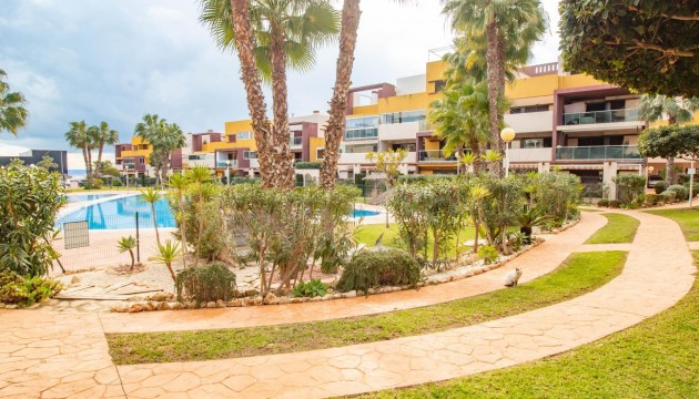 Resale - Apartment - Orihuela Costa - Playa Flamenca