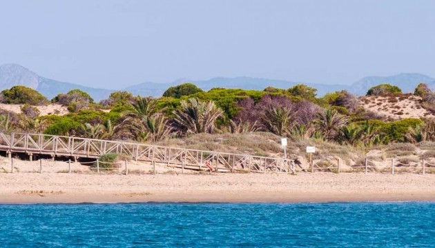 Nybygg - Leilighet - Guardamar del Segura