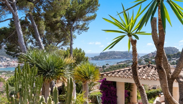 Resale - Detached Villa - Port d'Andratx - Andratx
