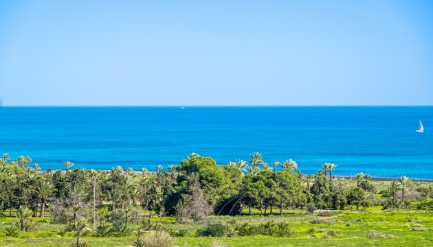 Перепродажа - Квартира - Orihuela Costa - Punta Prima