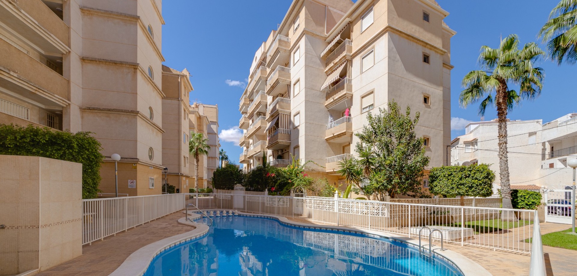 Apartment in Torrevieja - view 1