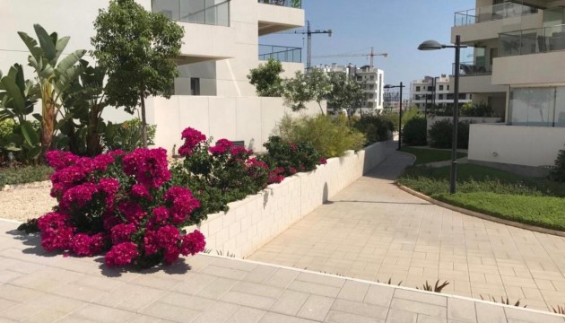 Перепродажа - Квартира - Orihuela - Villamartín