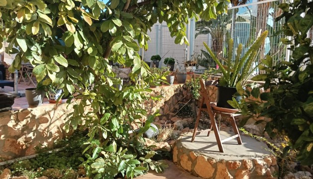 Resale - Apartment - Los Montesinos