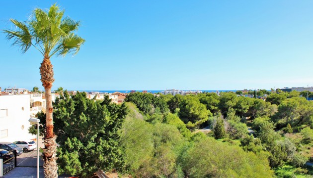 Resale - Detached Villa - Orihuela Costa - Playa Flamenca