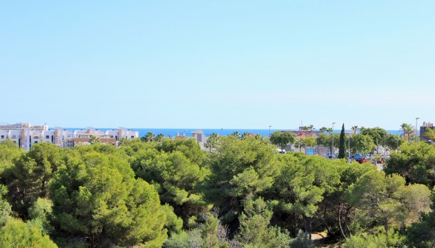 Resale - Detached Villa - Orihuela Costa - Playa Flamenca