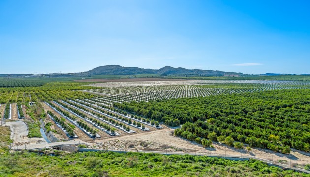 Wiederverkauf - Apartment - Algorfa