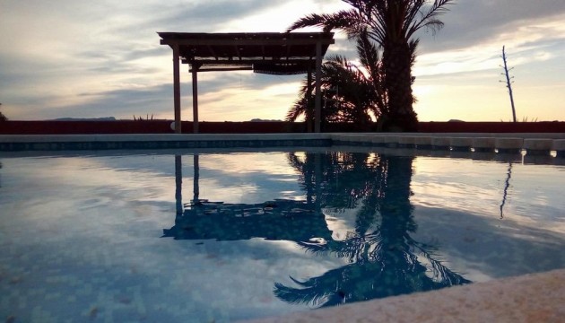 Перепродажа - деревенский дом - Orihuela - Torremendo