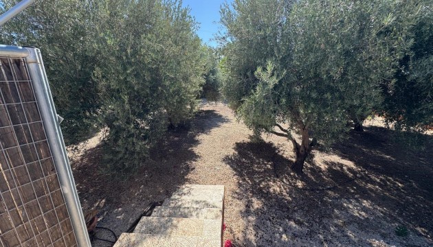 Resale - Country House - Albatera - ALBATERA