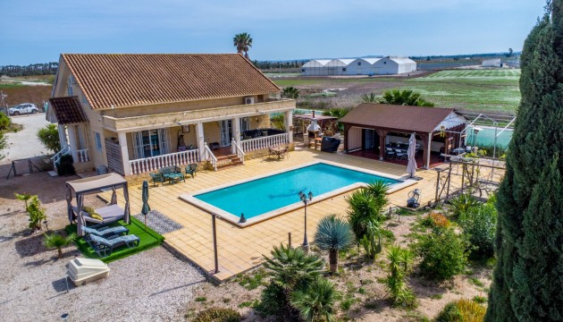 Reventa - Finca - Crevillente