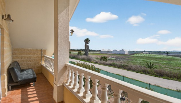 Reventa - Finca - Crevillente