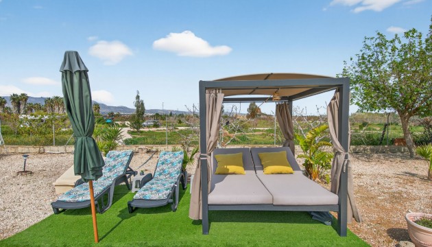 Reventa - Finca - Crevillente