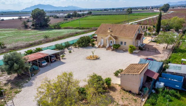 Reventa - Finca - Crevillente