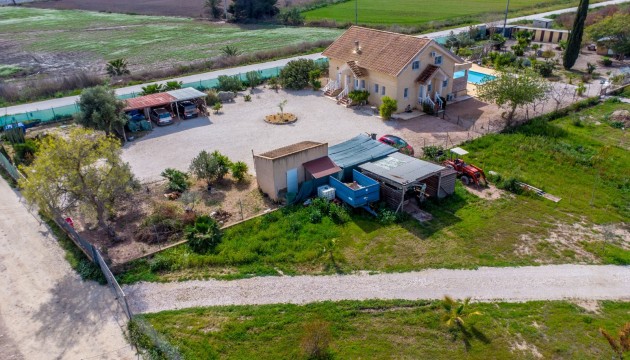 Reventa - Finca - Crevillente