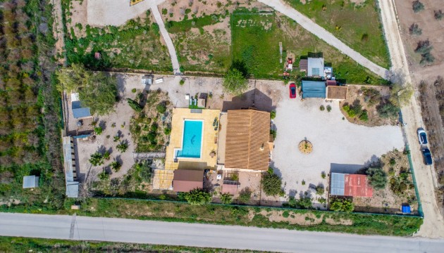 Reventa - Finca - Crevillente