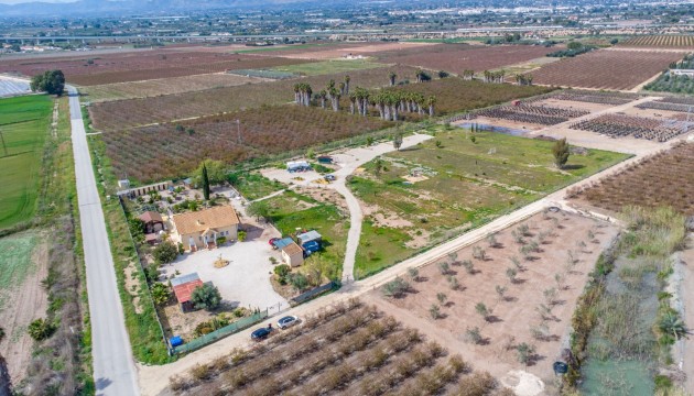 Reventa - Finca - Crevillente