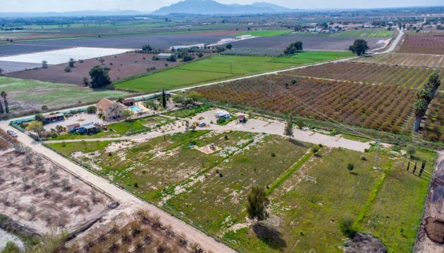 Reventa - Finca - Crevillente