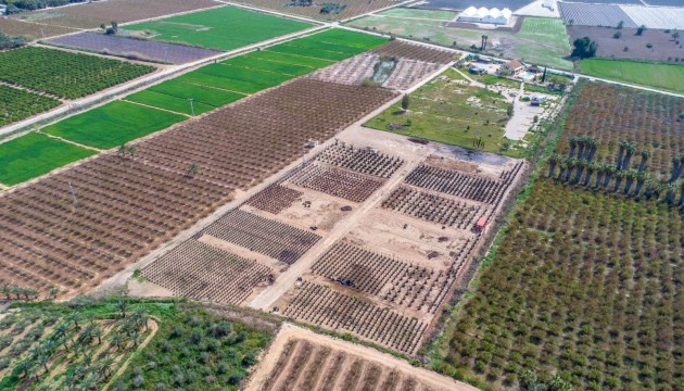 Reventa - Finca - Crevillente