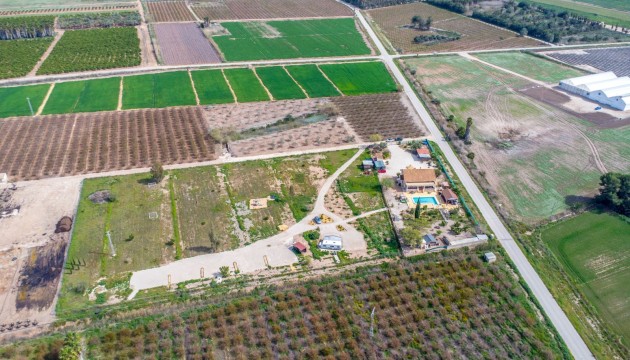 Reventa - Finca - Crevillente