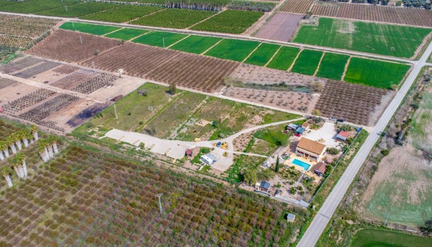 Reventa - Finca - Crevillente