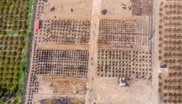 Reventa - Finca - Crevillente