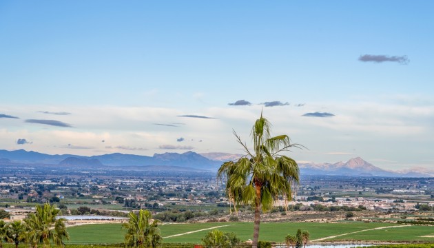 Перепродажа - отдельная вилла - Algorfa - Lomas De La Juliana