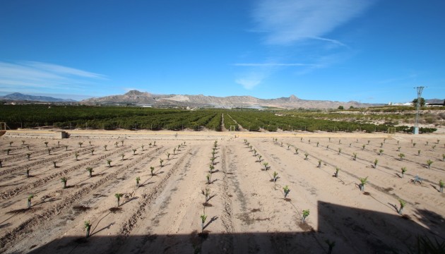 Reventa - Finca / Country House - Murcia - Costa Blanca Sur