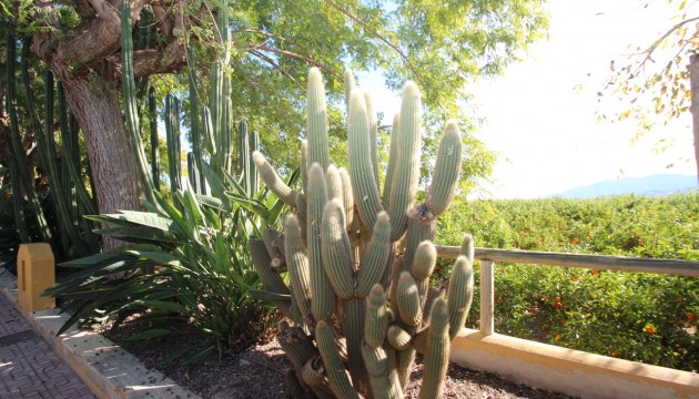 Reventa - Finca / Country House - Murcia - Costa Blanca Sur