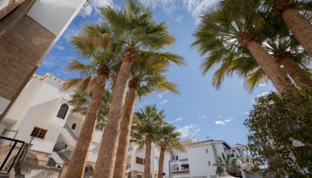 Reventa - Apartamento - Orihuela