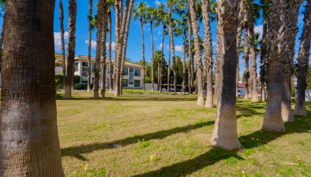 Reventa - Apartamento - Orihuela