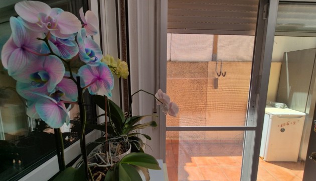 Перепродажа - Таунхаус - Torrevieja - Costa Blanca Sur