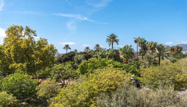 Herverkoop - Apartment - Palma de Mallorca - Mallorca