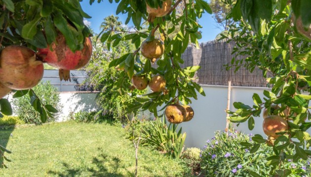 Перепродажа - отдельная вилла - Marrachí - Mallorca