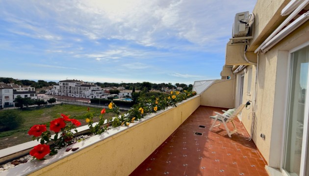 Перепродажа - Квартира - Torrevieja - Costa Blanca Sur