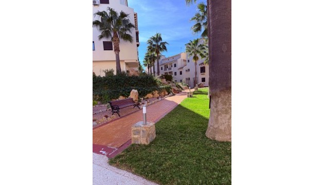 Перепродажа - Квартира - Orihuela - Lomas de Campoamor