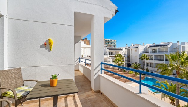 Wiederverkauf - Apartment - Torrevieja - La Veleta
