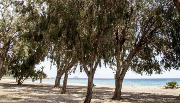 Nieuwbouw Woningen - Apartment - Villajoyosa