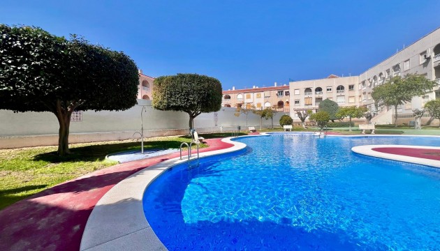 Herverkoop - Apartment - Torrevieja - El Acequión - Los Náufragos