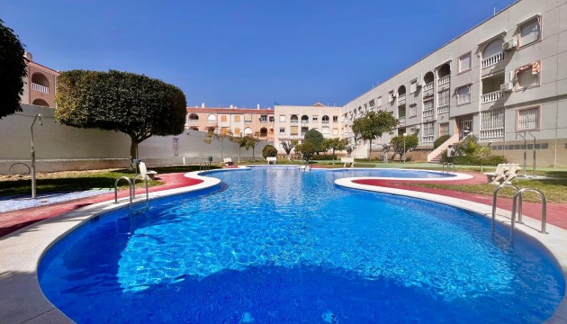 Herverkoop - Apartment - Torrevieja - El Acequión - Los Náufragos