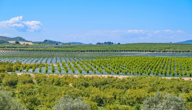 Перепродажа - Квартира - Algorfa - Fontana